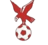 https://img.ce12366.com/img/football/team/4802d26df935b78bb2fcdbbff36e8864.png