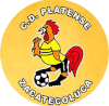 https://img.ce12366.com/img/football/team/63b0933cc303927659846a4ed54b1522.png