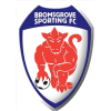 https://img.ce12366.com/img/football/team/7537ed874ffe46890fcf9fc9547e0ba5.png